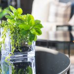 Balconul îngust, dar spectaculos: mobilier slim, plante verticale și decor inteligent
